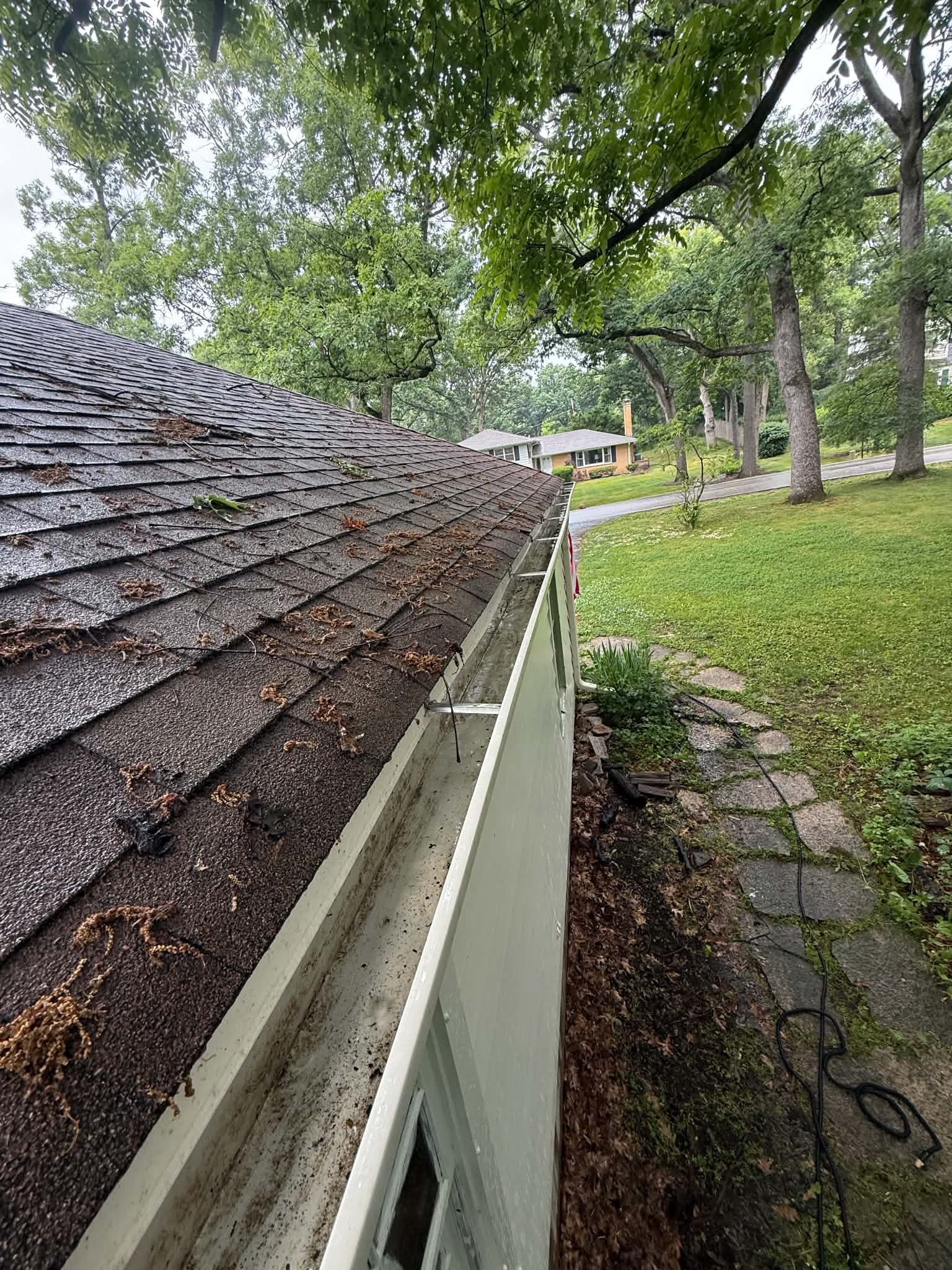 Clogged gutters before cleaning Woodstock IL