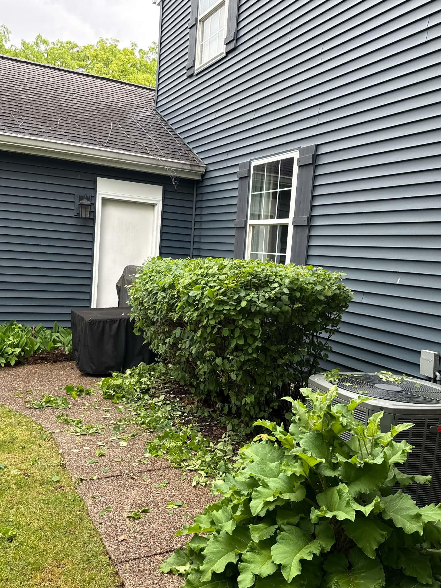 Shrub trimming in progress Woodstock IL