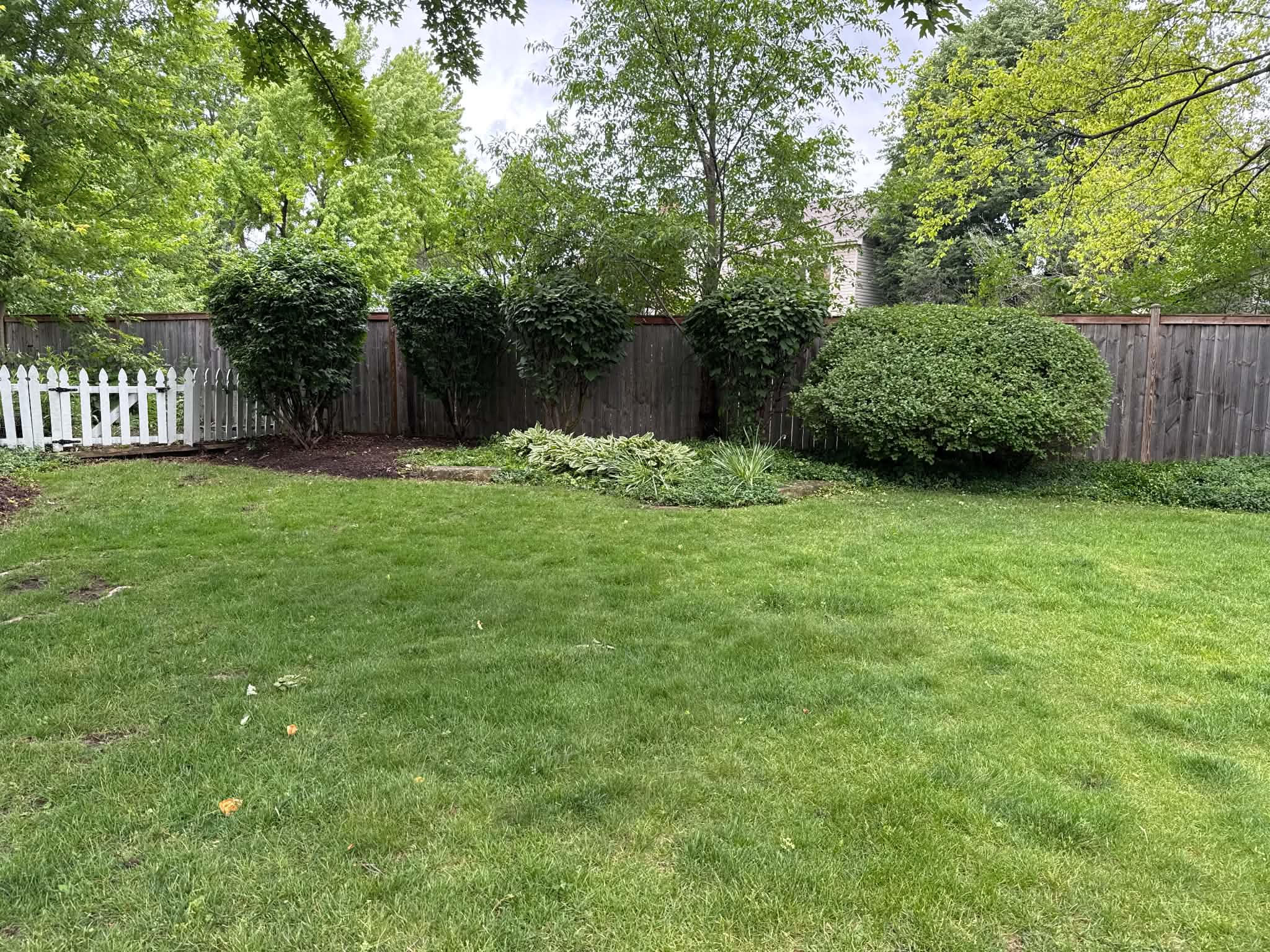 Clean yard after lawn cleanup service McHenry County