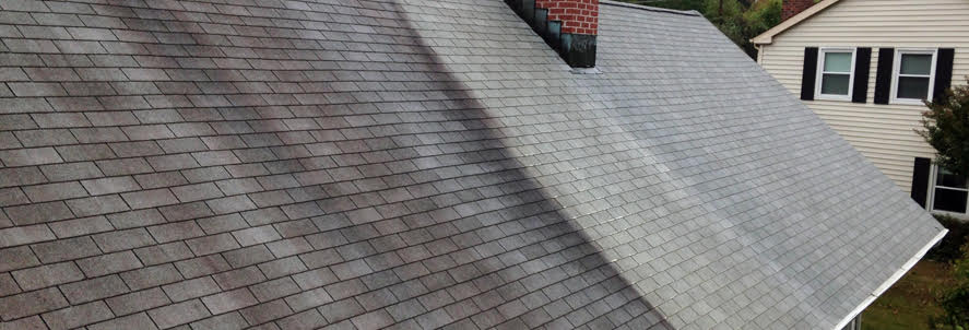 Roof soft wash before and after McHenry County Illinois