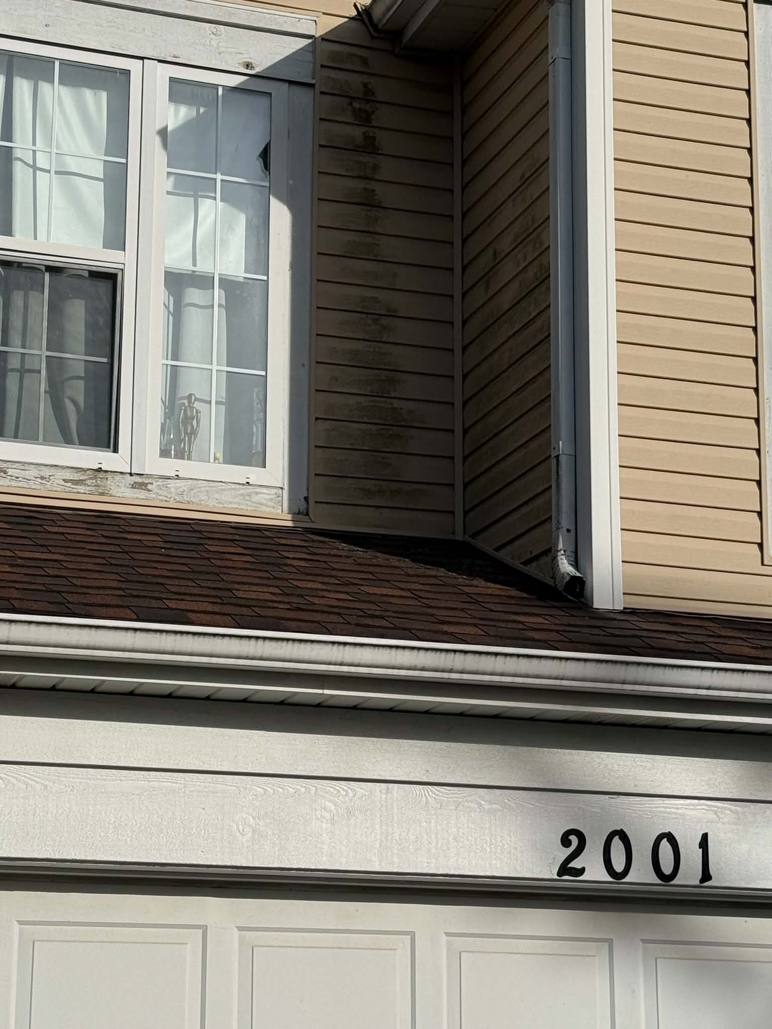 Exterior siding soft wash before service