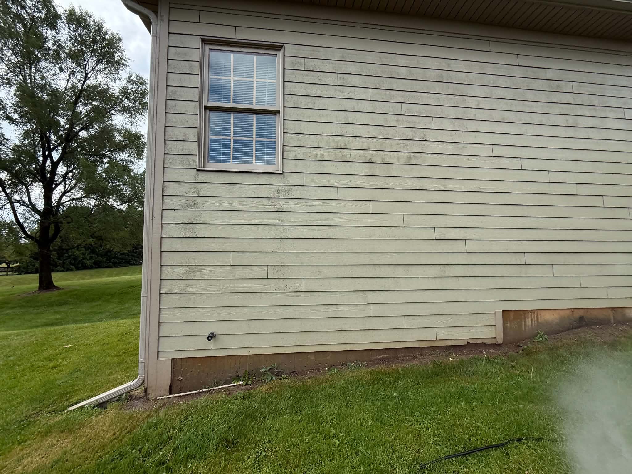 Clean siding after Rob's Exterior Services soft wash