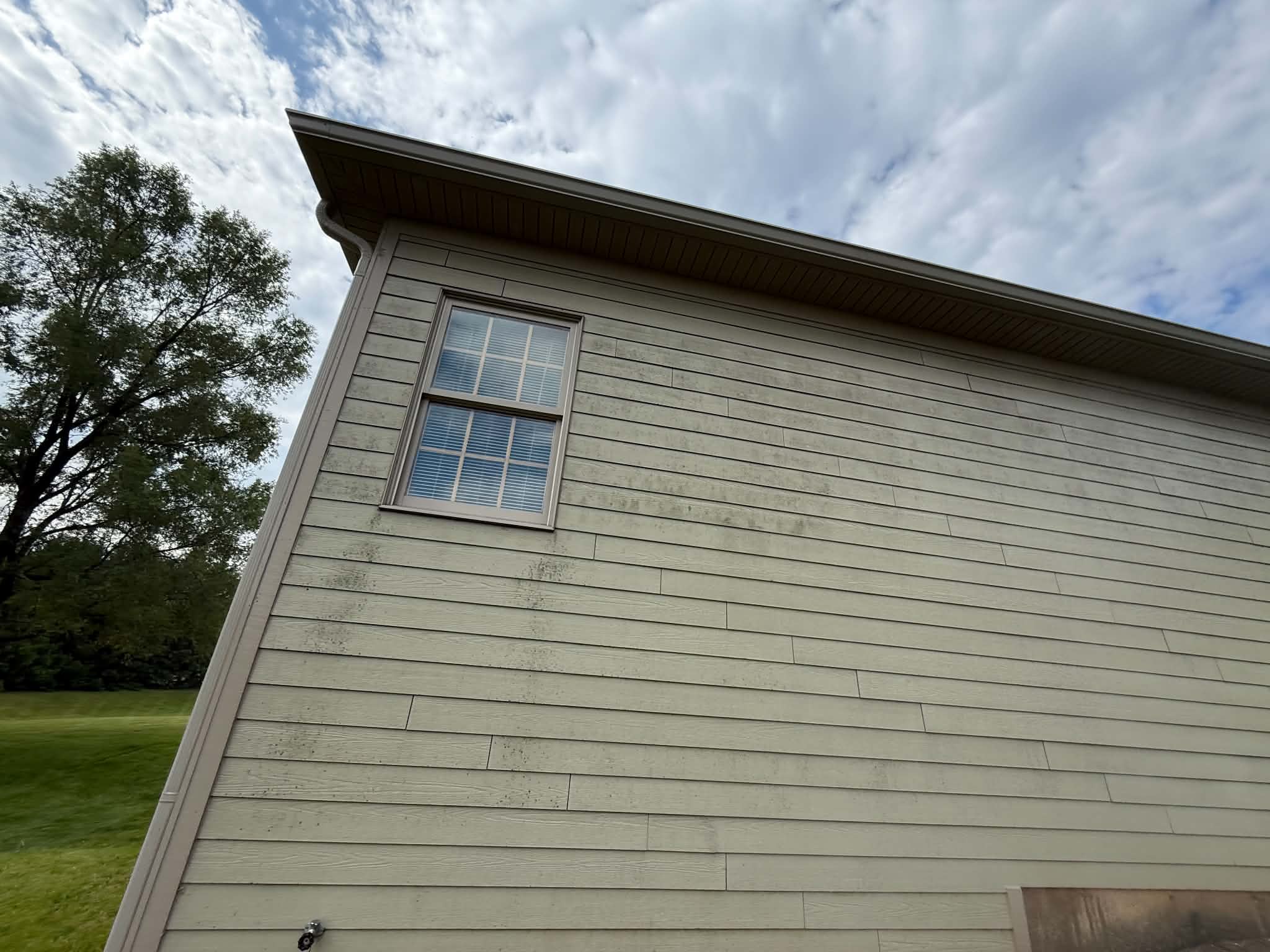 Home exterior mold removal soft wash Woodstock IL