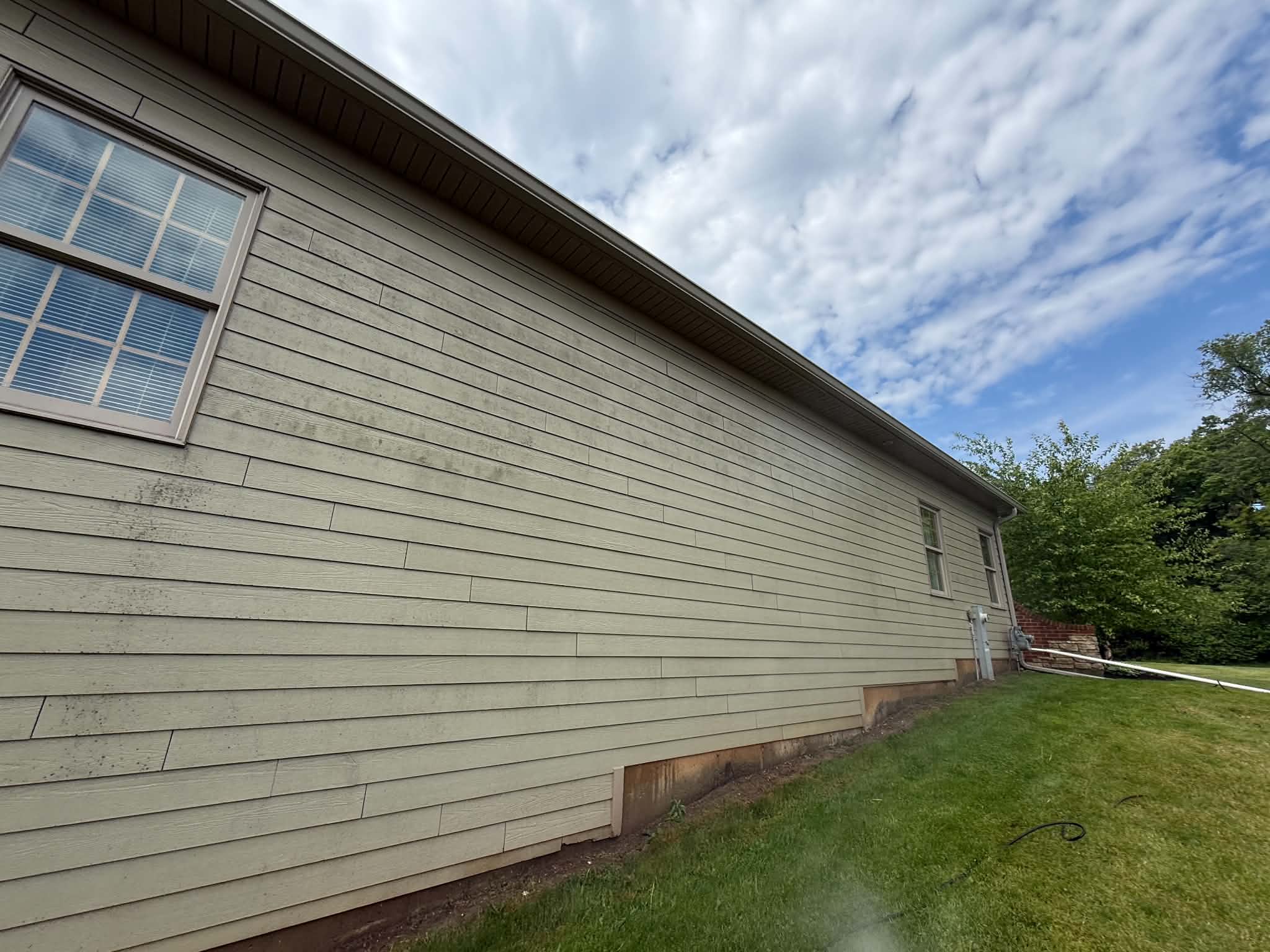 Siding with mold and algae buildup before soft washing Woodstock IL