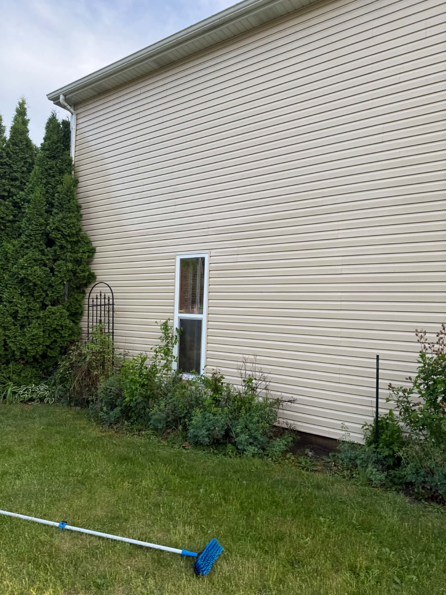 Soft washed siding mold and algae removed Woodstock IL